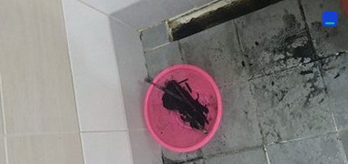 과천 · 전화 상담 뒤 방문 고객 글 사진